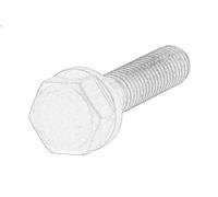Bullone, ingranaggio dell'albero a camme OE DEUTZ 04220681