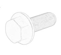Bullone, ingranaggio dell'albero a camme OE FIAT 46441027 per 156 1.9 1997-2