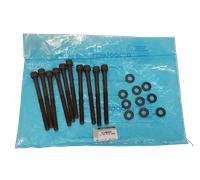 Bullone Kit Renault Dacia 110567448R Originale