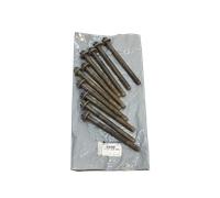 Bullone Renault Nissan 7701478860 Originale