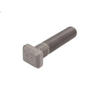 Bullone ruota DT SPARE PARTS 1.17131 per SCANIA T 11.705 2004-2005