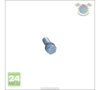 Bullone ruota Maxgear per RENAULT AVANTIME SAFRANE SCENIC MEGANE LAGUNA ESPACE