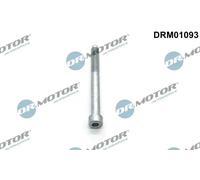 Bullone, Supporto iniettore Ad esagono incassato DRM01093 Dr.Motor Automotive