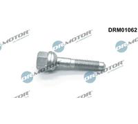 Bullone, Supporto iniettore Ad esagono sporgente DRM01062 Dr.Motor Automotive