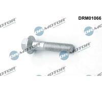 Bullone, Supporto iniettore Ad esagono sporgente DRM01066 Dr.Motor Automotive