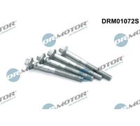 Bullone, Supporto iniettore Ad esagono sporgente DRM01072S Dr.Motor Automotive