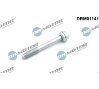 Bullone, Supporto iniettore Ad esagono sporgente DRM01141 Dr.Motor Automotive