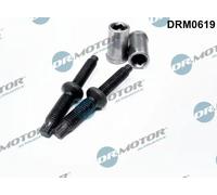 Originale Dr. Motor Automotive Vite Einspritzdüsenhalter DRM0619 per Citroën