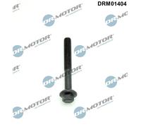 Bullone, Supporto iniettore per DACIA RENAULT CAPTUR DOKKER DUSTER KADJAR KANGOO