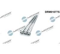 Bullone, Supporto iniettore Poligonale incassata DRM01077S Dr.Motor Automotive
