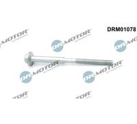 Bullone, Supporto iniettore Poligonale incassata DRM01078 Dr.Motor Automotive