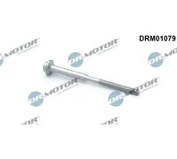 Bullone, Supporto iniettore Poligonale incassata DRM01079 Dr.Motor Automotive