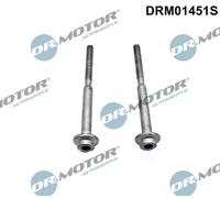 Bullone, Supporto iniettore Poligonale incassata DRM01451S Dr.Motor Automotive