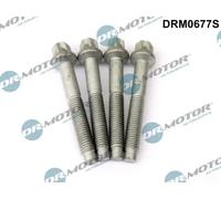 Dr.Motor Automotive Bullone, Supporto iniettore compatibile con CITROËN FORD
