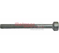Bullone, Supporto iniettore Torx interno Vite ad espansione 0870128S METZGER