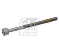 Bullone, Supporto iniettore Torx interno Vite ad espansione 28407 FEBI BILSTEIN