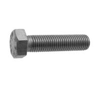 BULLONE T.E. INOX 5x16