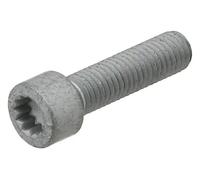 Vite ELRING 434.400