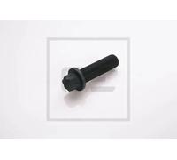 Bullone/Vite Torx 10.9 031.374-00A PE Automotive