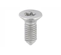Bullone/Vite Torx interno 115 526 TOPRAN
