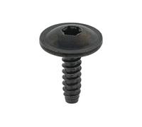 Bullone/Vite Torx interno 115 717 TOPRAN