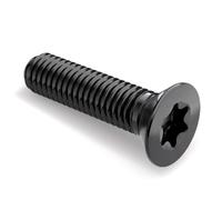Bulloni a testa piatta M2 M3 M4 M5 M6 M8 M10 Viti Torx a testa svasata in acciaio inossidabile nero 304, 10 pezzi, M10x20-304 nero