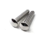 Bulloni a testa tonda M6 x 45 in acciaio inox 304 (confezione da 30)