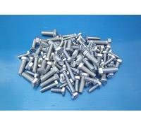 Bulloni BSF 100 Pezzi. Wolseley 18/85 16/65 10 15 14/60 12/48 4/50 Dieci 25 6/80