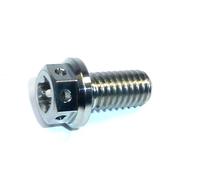 Bulloni Da Corsa In Titanio Flangiati Dual Drive M6X35 Forati 0025060356