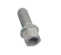 Bulloni Delle Ruote Auto Per Prigionieri Haval Per Jolion Per Dargo | Sostituzione Degli Accessori Delle Parti Dei Bulloni Delle Ruote Dell'auto Auto Bullone Cerchio