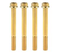 Bulloni in titanio, viti in lega di titanio, M10 Bullone in titanio 20/25/30/35/40/45/50/55/60/65/70/75/80/85 90mm Flangia Vite a testa esagonale for bicicletta rimontata 4 pezzi(Gold,70mmxM10 1.25Pit