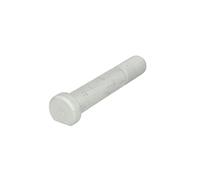Bulloni ruota AUGER 75202
