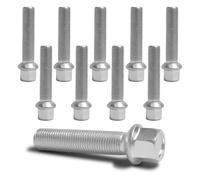 Bulloni ruota M14 x 1,5 fascia a sfera R14 lunghezza 60 mm SW17 argento (10 p...