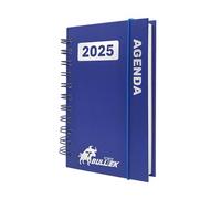 BullTek - Agenda Giornaliera 2025, Multilingua EN IT FR ES DE, Rilegatura ad Anelli, Appuntamenti 30 Min, Note e Meteo, Copertina Rigida, A6, Carta (BLU)