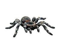 Bullyland- Weißknievogelspinne Animale Statuetta Giocattolo, Multicolore, 68457