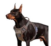 BUMBIN - Pettorina tattica per cani di taglia grande, anti-tiro, riflettente, per passeggiate con animali domestici, ideale per l’addestramento, regolabile, con maniglia, marrone, L