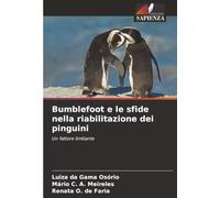 Bumblefoot e le sfide nella riabilitazione dei pinguini: Un fattore limitante