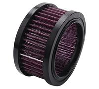 Bumdenuu Filtro di Aspirazione Filtro 'Aria di Ricambio Universale per XL 883 1200 48 2004-2018