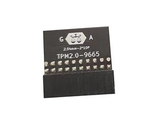Bumdenuu Modulo di protezione a 20 pin per TPM-L R2.0/ -TPM2.0 Modulo di piattaforma Trust compatibile 20 pin 20 - 1 L2P7