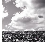 Bump of Chicken - Hana No Na