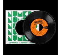 Bump & the Soul Stompers I Can Remember/Standing On the Outside (Vinyl LP)