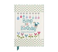 Bump to Birthday, Pregnancy & First Year Journal