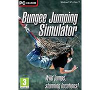 Bungee Jumping Simulator [Edizione: Regno Unito]
