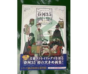 bungo stray dogs Harukawa Sango Art Works Artbook