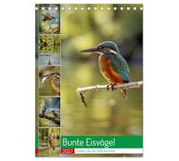 Bunte Eisvögel (Tischkalender 2027 DIN A5 hoch), CALVENDO Monatskalender: Ein Eisvogel steht für lebendige Farben, kreative Leichtigkeit und inspirierende Vielfalt.