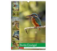 Bunte Eisvögel (Wandkalender 2027 DIN A3 hoch), CALVENDO Monatskalender: Ein Eisvogel steht für lebendige Farben, kreative Leichtigkeit und inspirierende Vielfalt.