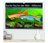 Bunte Fische der Welt - Killifische (hochwertiger Premium Wandkalender 2026 DIN A2 quer), Kunstdruck in Hochglanz: Farbenprächtige, außergewöhnliche Aquarienfische