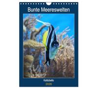 Bunte Meereswelten (Wandkalender 2026 DIN A4 hoch), CALVENDO Monatskalender: Das Leben im tropischen Meer