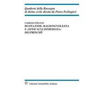 Buona Fede Ragionevolezza E Efficacia Immediata Dei Principi