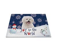 Buone Vacanze Invernali Sulla Neve Con Il Mio Adorabile Cane Bichon Frise Zerbino Di Benvenuto Resistente Tappetini Porta Dingresso Antiscivolo Tappetino Da Bagno Per Soggiorno Terrazzo 40X60Cm